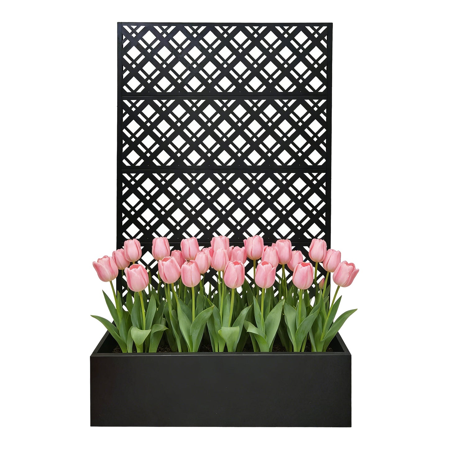 Metal Planter Raised Garden Bed with Trellis