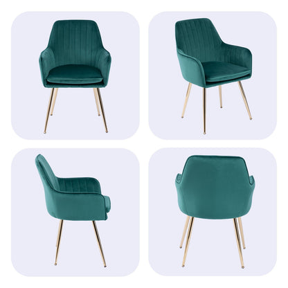 Modern Mid Back Dining Chairs