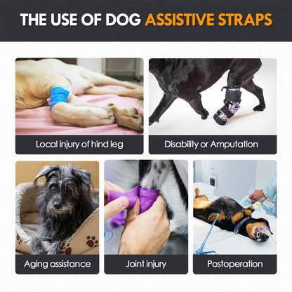 Adjustable Dog Lift Harness, Dog Sling For Large Dogs Lift Support And Rehab Harness For Weak Rear Legs, Soft Hind Leg Support Helps Senior, Injured, Disabled And After ACL Surgery Dogs