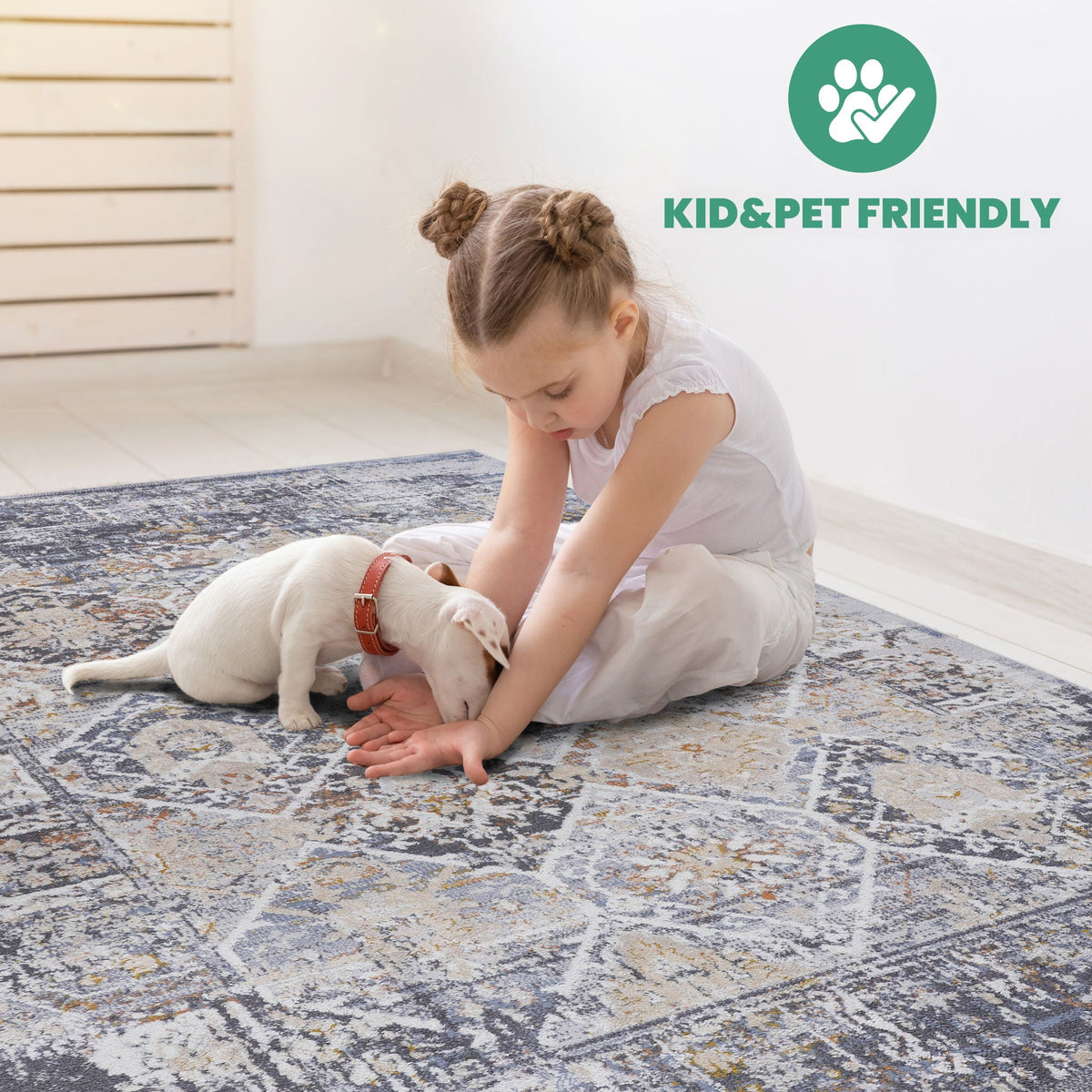 Payas - 6' X 9' Traditional Area Rug - Multi