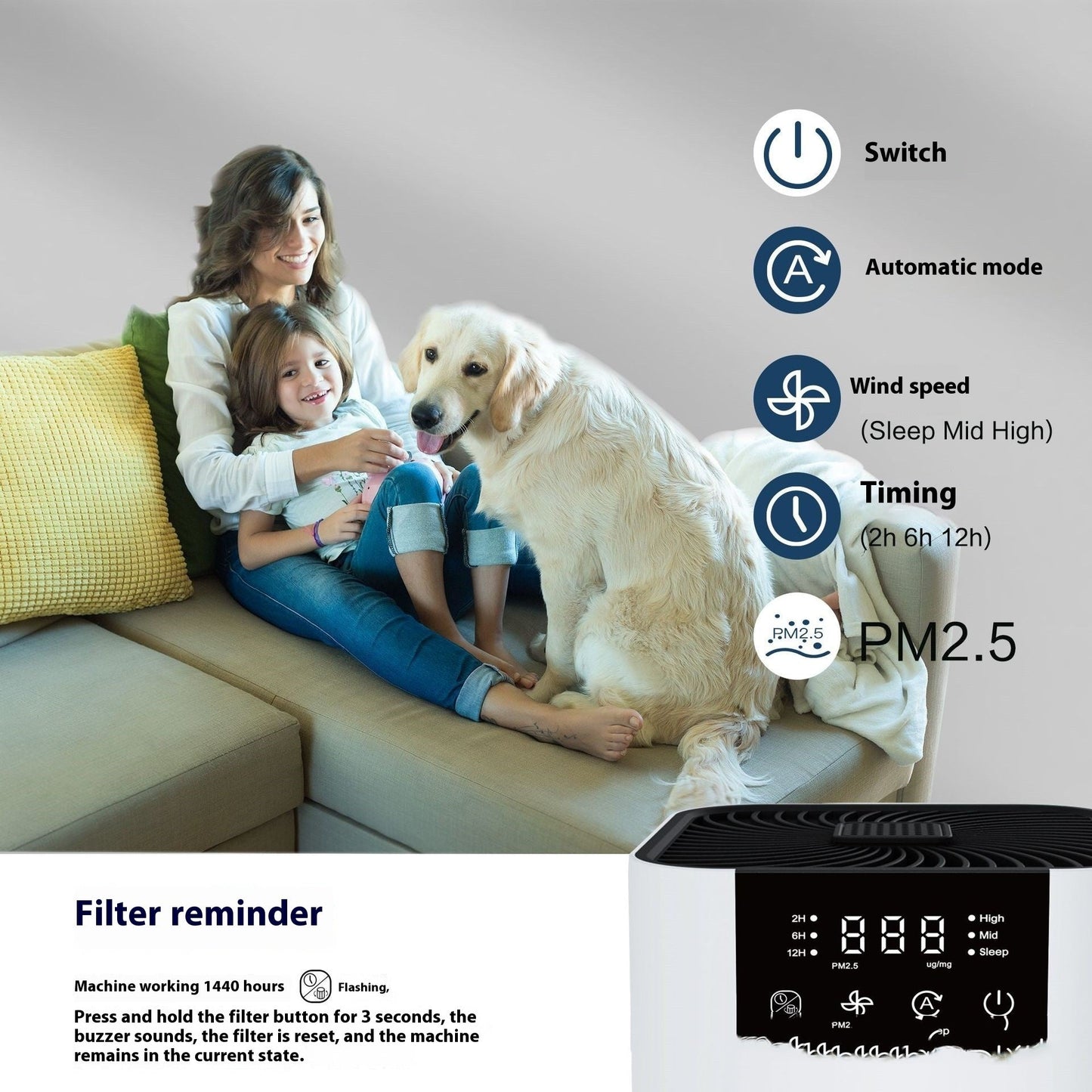 Anion Desktop Air Purifier Indoor