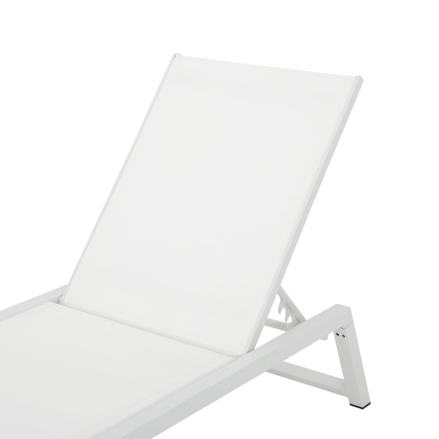 Myers Modern Chaise Lounge Set With Adjustable Back