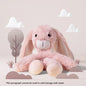 Pet dog toy plush resistant to biting teeth