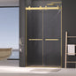 Dual Sliding Frameless Shower Door 44-48 in W x 75 in H