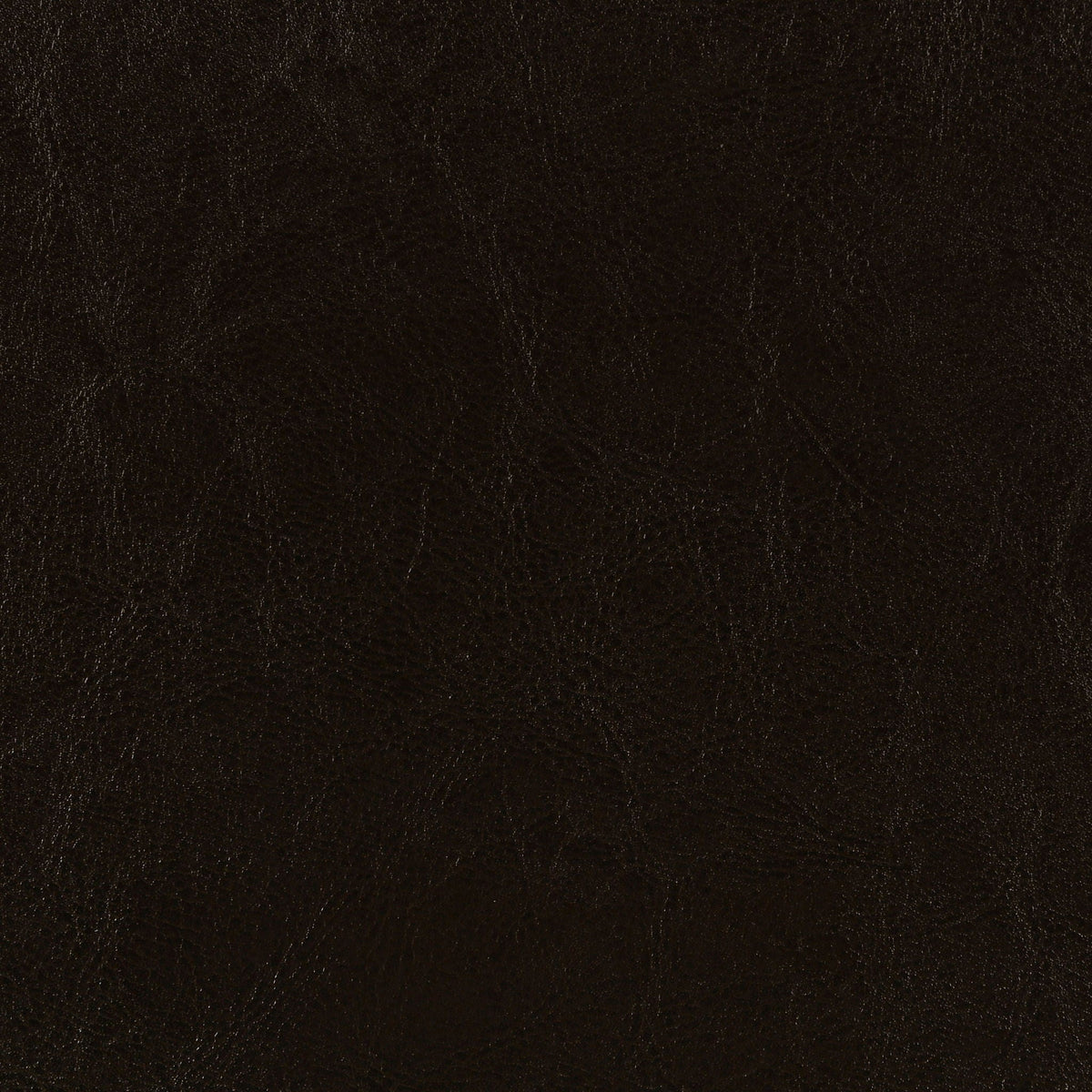 Dorian Faux Leather Upholstered Queen Panel Bed Brown