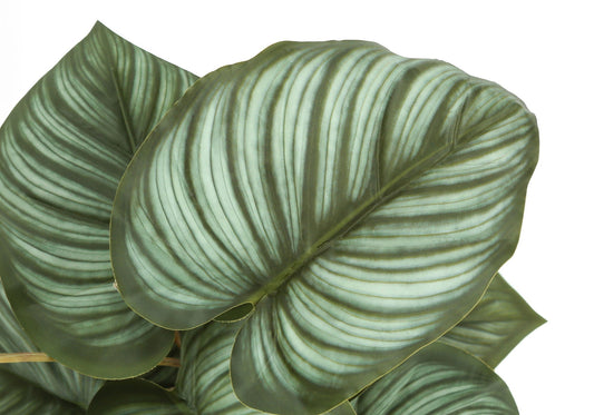 13" Tall Artificial Epipremnum Plants Set of 2