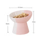 Ceramic Pet Slant Mouth Dog And Cat Food Bowl Set