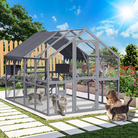 Cat House