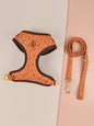 Summer Cute Pet's Chest-back Haulage Rope Package Suitable For Medium And Large Pet Dogs