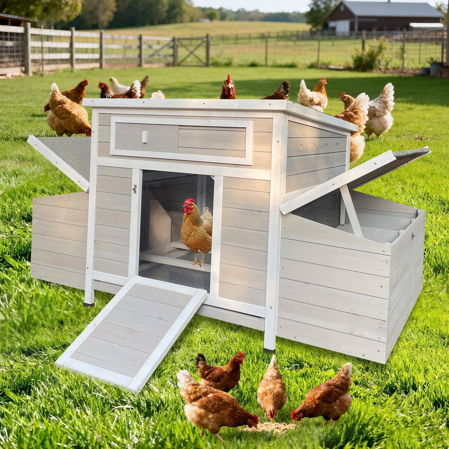 Large Wooden Chicken Coop Outdoor Hen House with Nesting Boxes