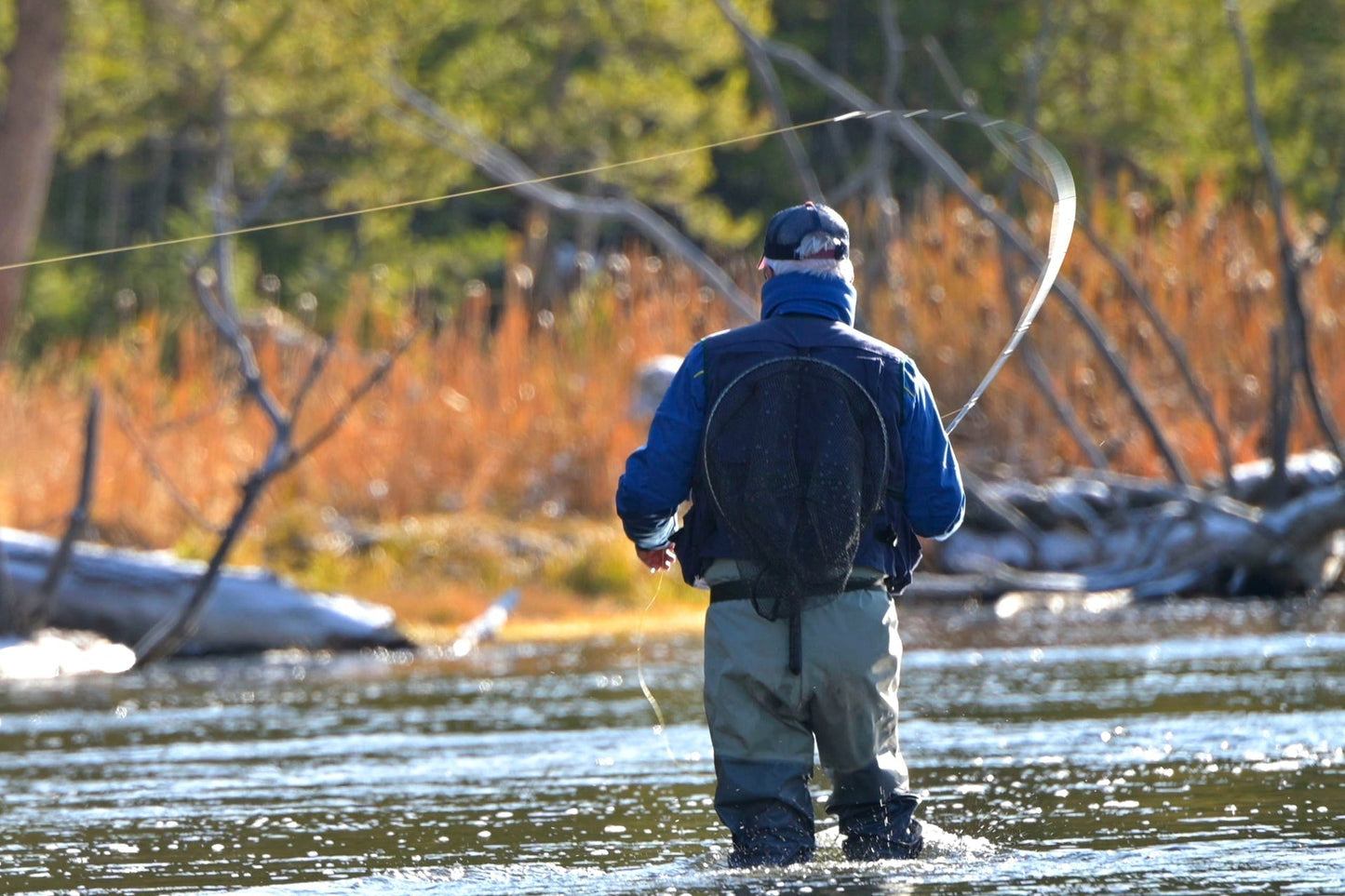 3 Pack Olive Beaded Shrimp Scud Pattern - Size 12 - Tailwater Lake Fly Fishing Nymph