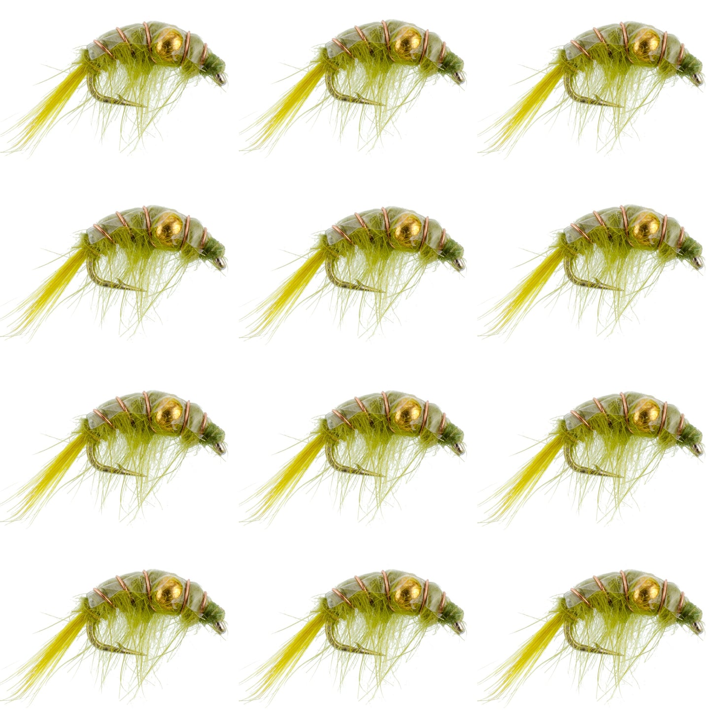 Olive Beaded Shrimp Scud Pattern - 1 Dozen Size 16 - Tailwater Lake Fly Fishing Nymph