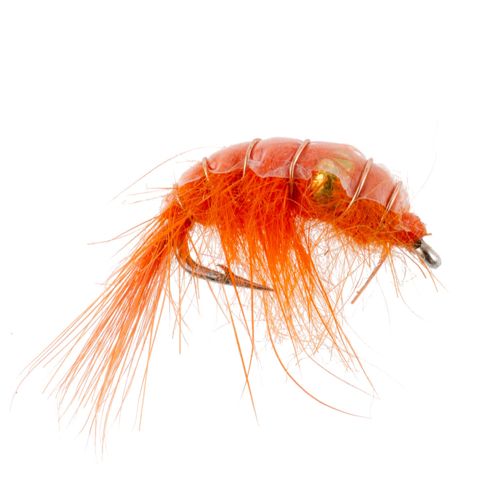 Beaded Shrimp Scud Assortment - 1 Dozen - Size 16 - Tailwater Lake Fly