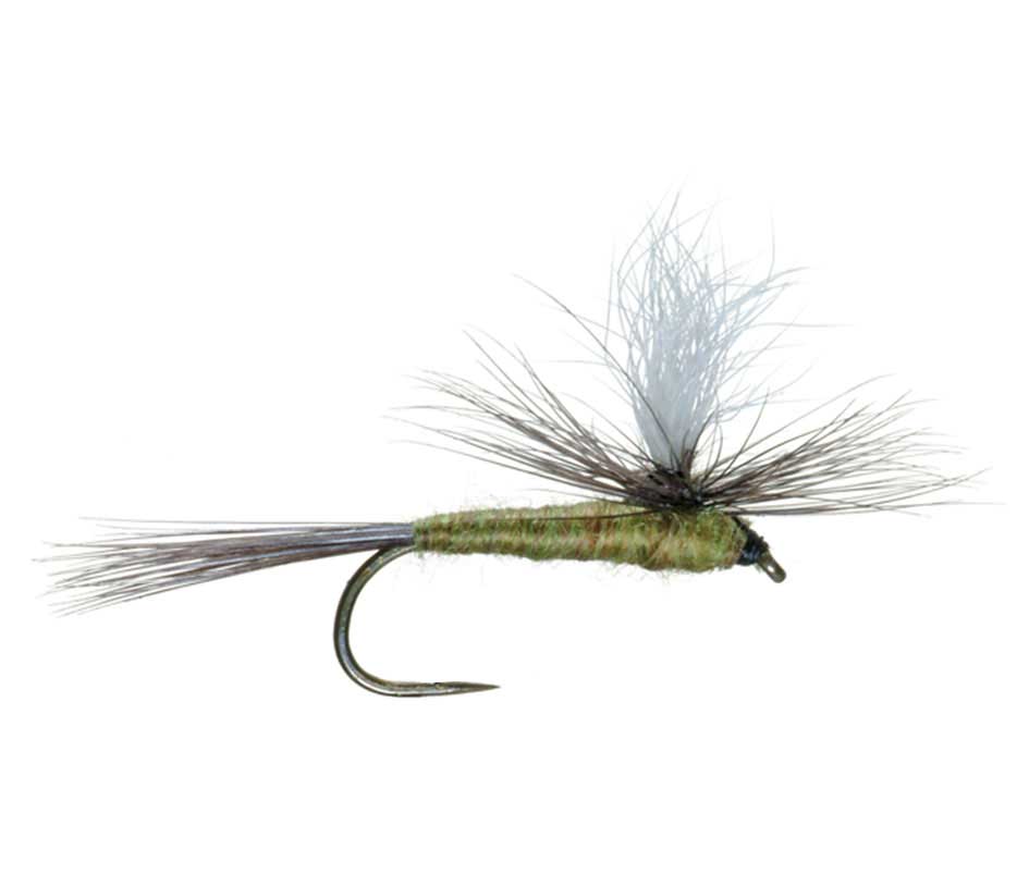 Barbless Parachute Blue Winged Olive BWO Dry Fly - 6 Flies Size 20