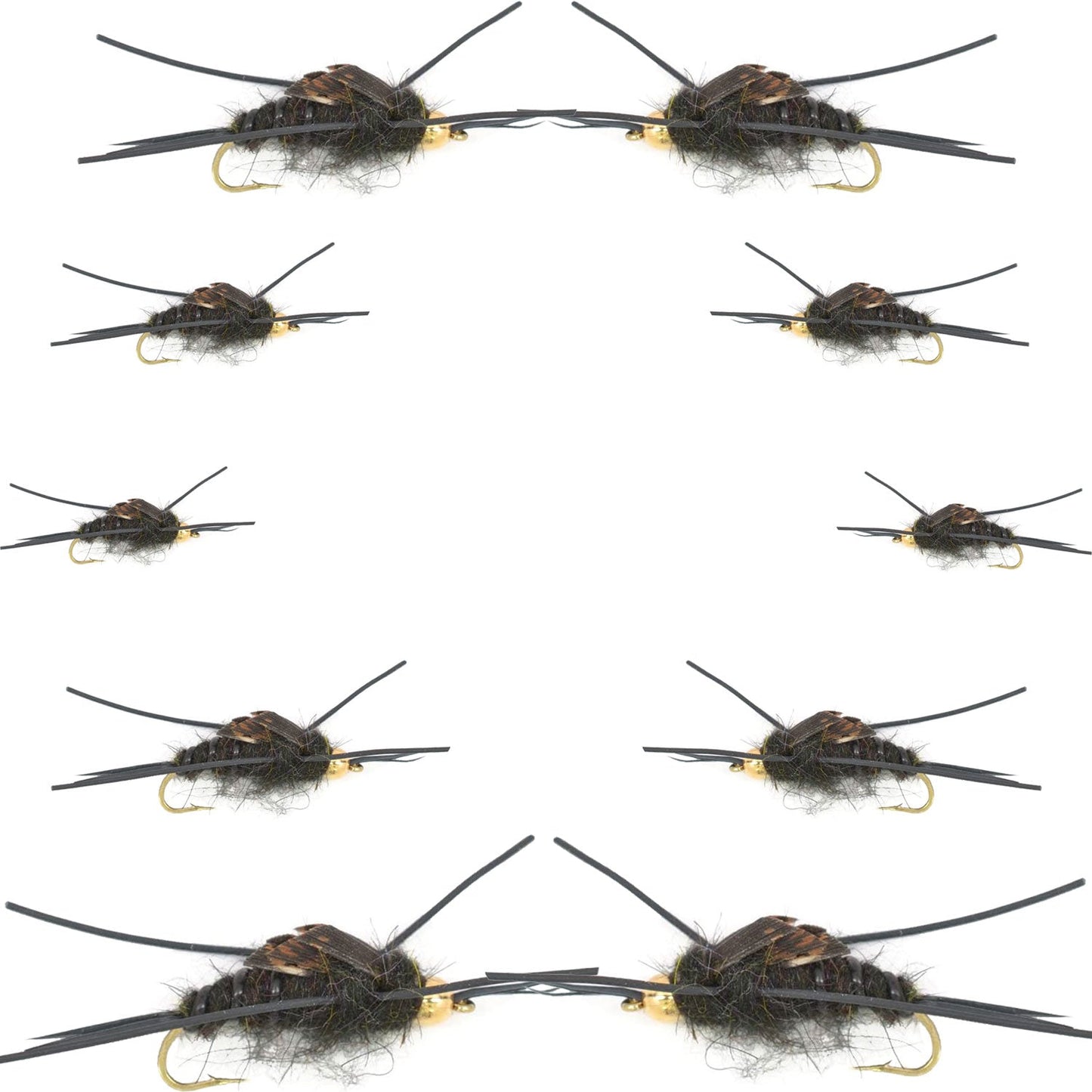 Basics Collection - Kaufmann's Tungsten Black Stonefly Kit 10 Flies #4-12