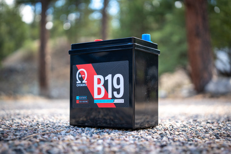 B19 - Lithium 12V Battery for Tesla Model Y (2020–2022.3)
