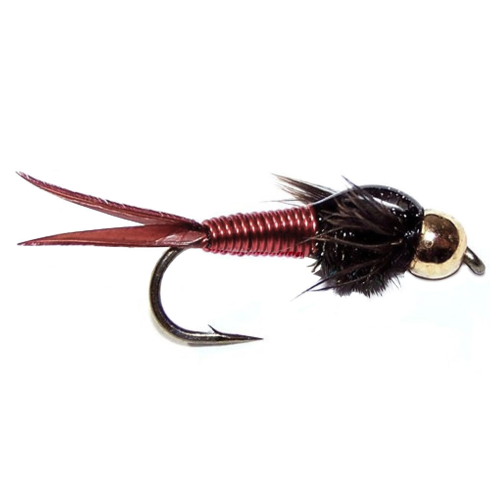 Basics Collection - Bead Copper John Assortment - 10 Flies Sizes 14-18