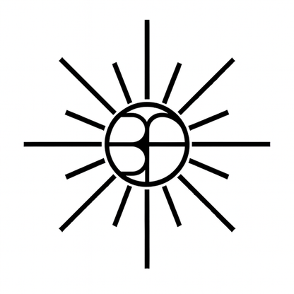 Shine On Protection