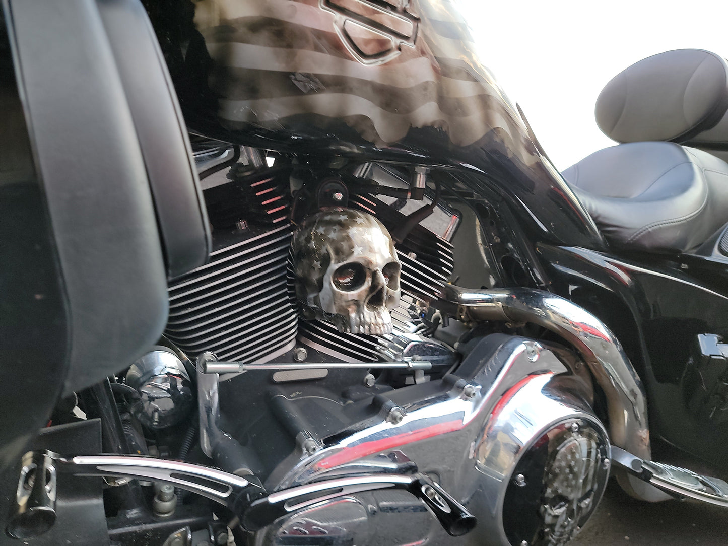3D ancient skull with tattered American flag