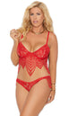 Plus Size Embroidered Lace Bralette and Panty