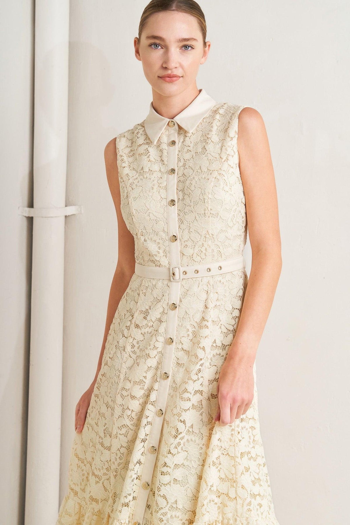 PURELY ROMANTIC WOVEN LACE MIDI DRESS