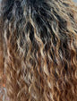 It's a Wig! Simply Lace Missouri Wig New With Tags