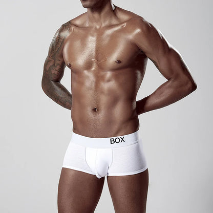 ORLVS Men's Panties Sexy Man Undewear Boxer Men Underpants Boxershort Underpant Male Panties 3D Pouch Shorts Under Wear Pants
