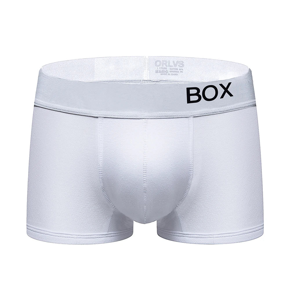 ORLVS Men's Panties Sexy Man Undewear Boxer Men Underpants Boxershort Underpant Male Panties 3D Pouch Shorts Under Wear Pants
