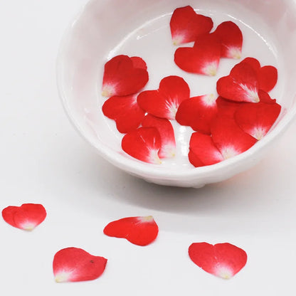 100pcs 1cm Heart Shape Pressed Dried Rose Flower Petals for Jewelry