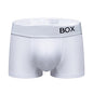 ORLVS Men's Panties Sexy Man Undewear Boxer Men Underpants Boxershort Underpant Male Panties 3D Pouch Shorts Under Wear Pants