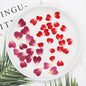 100pcs 1cm Heart Shape Pressed Dried Rose Flower Petals for Jewelry