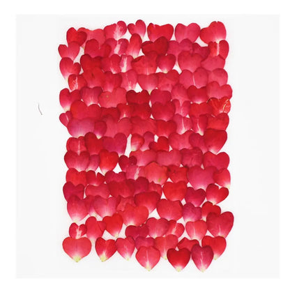 100pcs 1cm Heart Shape Pressed Dried Rose Flower Petals for Jewelry