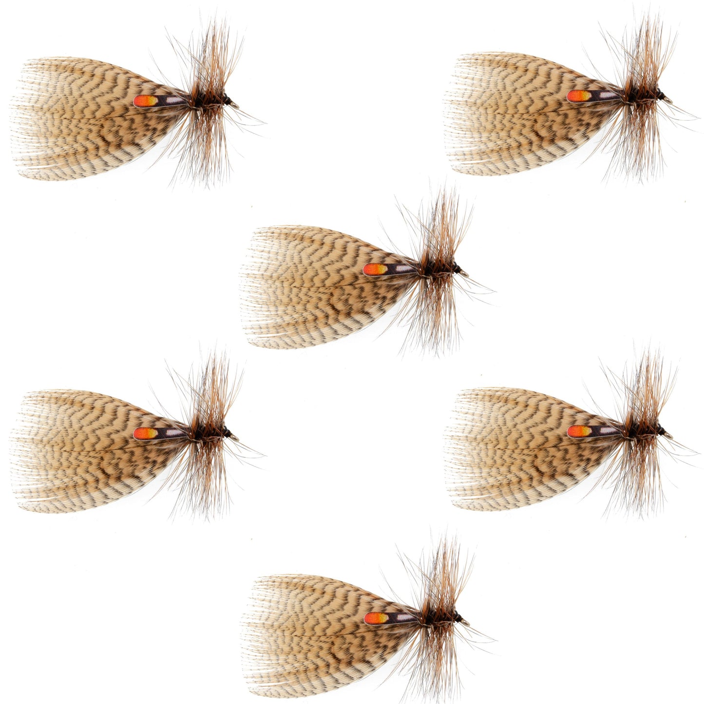Hornberg Special Streamer or Dry Fly - 6 Flies - Hook Size 6