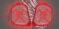 19 to 25+ Indian Challenger warrior themed inner speaker grills set