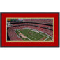 Framed Levi's Stadium San Francisco 49'ers 16x24 Football Photo Professionally Matted