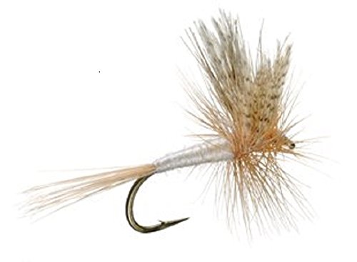 3 Pack Light Cahill Classic Trout Dry Fly Fishing Fly - Hook Size 20