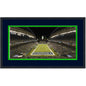 Framed Lumen Field Seattle Seahawks 16x24 Football Photo Professionally Matted