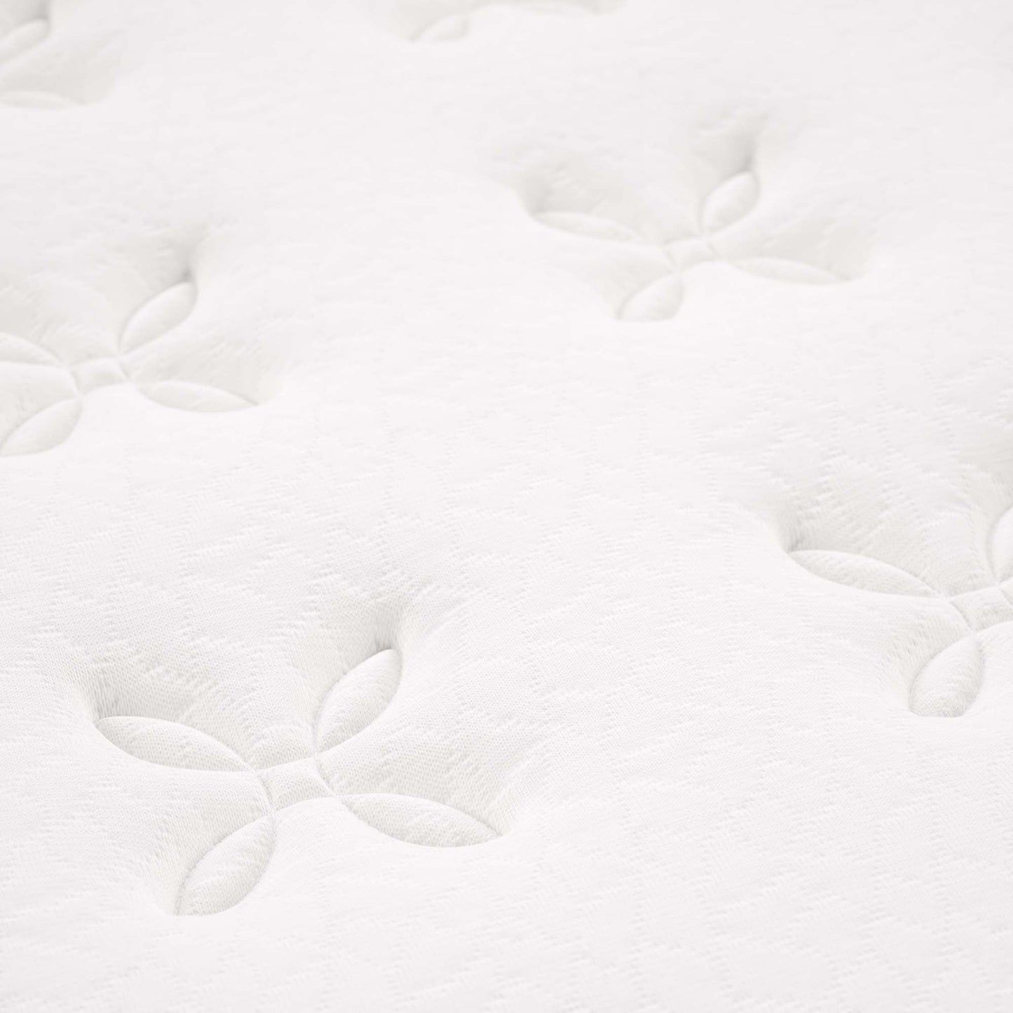 Jenna 14" Innerspring and Foam Mattress by Modway