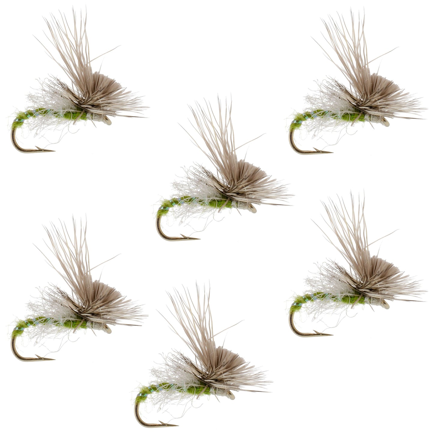 Green Drake Missing Link Mayfly Flies Hook 6 Flies Size 12