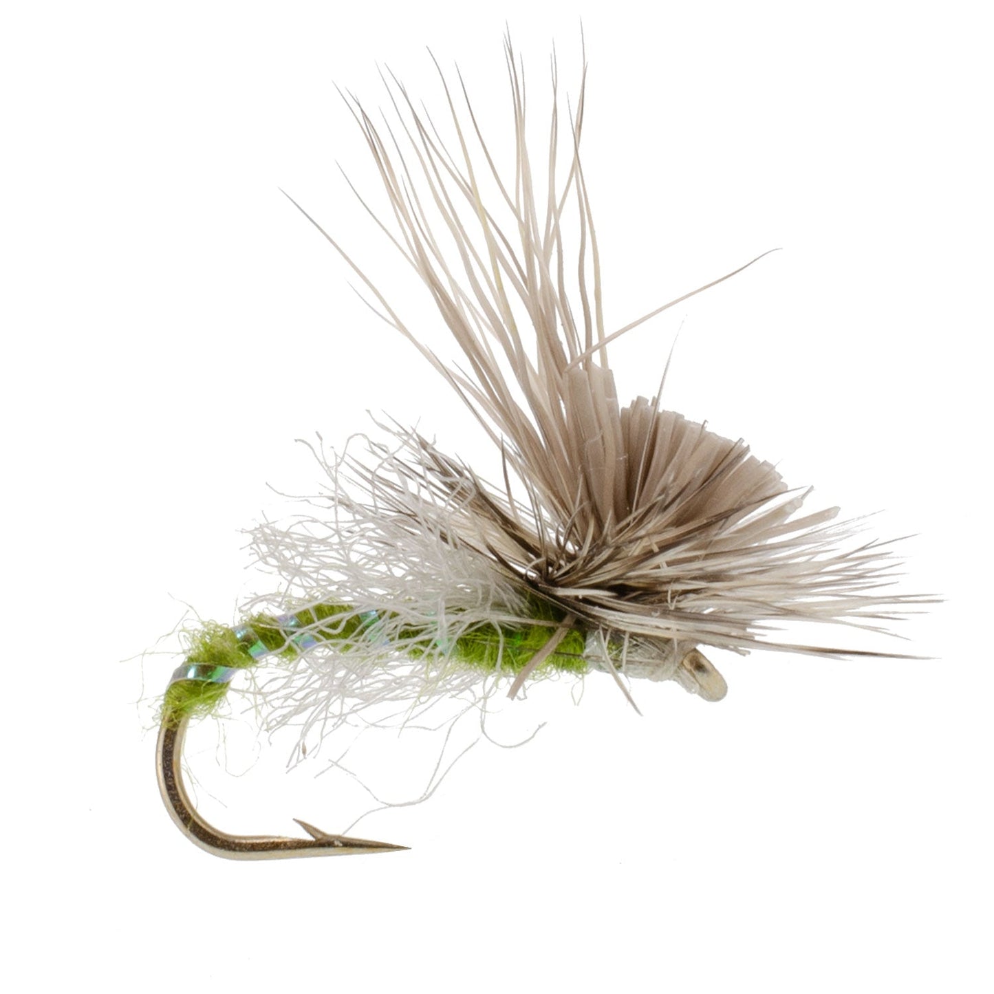 Green Drake Missing Link Mayfly Flies Hook 6 Flies Size 10