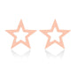 Mini Star Moon Heart Ear Studs