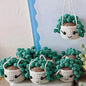 Car plant pendant Car decoration Rearview mirror pendant Creative wool in the car