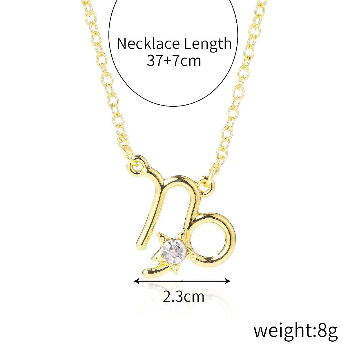 Custom 12 Zodiac Necklace Horoscope Necklace