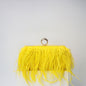 Elegant Ostrich Hair Ring Box – Small Square Bag with Chain Crossbody Shoulder Velvet Evening Clutch Purse