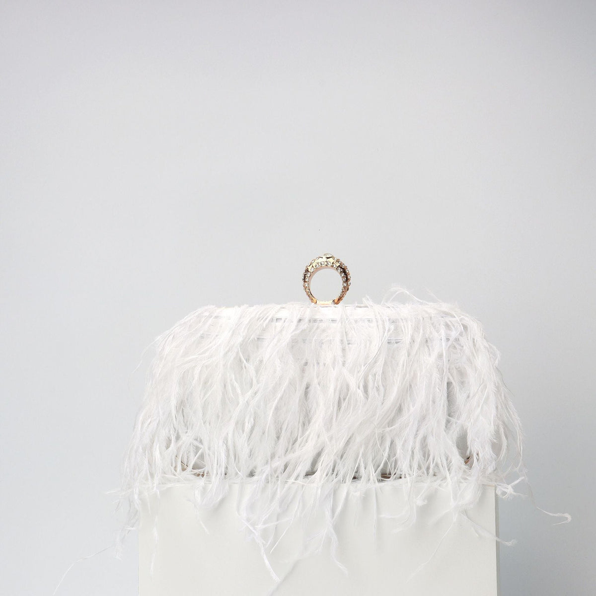 Elegant Ostrich Hair Ring Box – Small Square Bag with Chain Crossbody Shoulder Velvet Evening Clutch Purse
