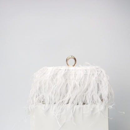 Elegant Ostrich Hair Ring Box – Small Square Bag with Chain Crossbody Shoulder Velvet Evening Clutch Purse