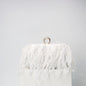 Elegant Ostrich Hair Ring Box – Small Square Bag with Chain Crossbody Shoulder Velvet Evening Clutch Purse