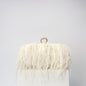 Elegant Ostrich Hair Ring Box – Small Square Bag with Chain Crossbody Shoulder Velvet Evening Clutch Purse