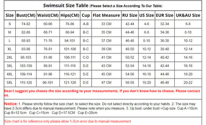 Women's Swimsuit Color Block One Piece Plus Size