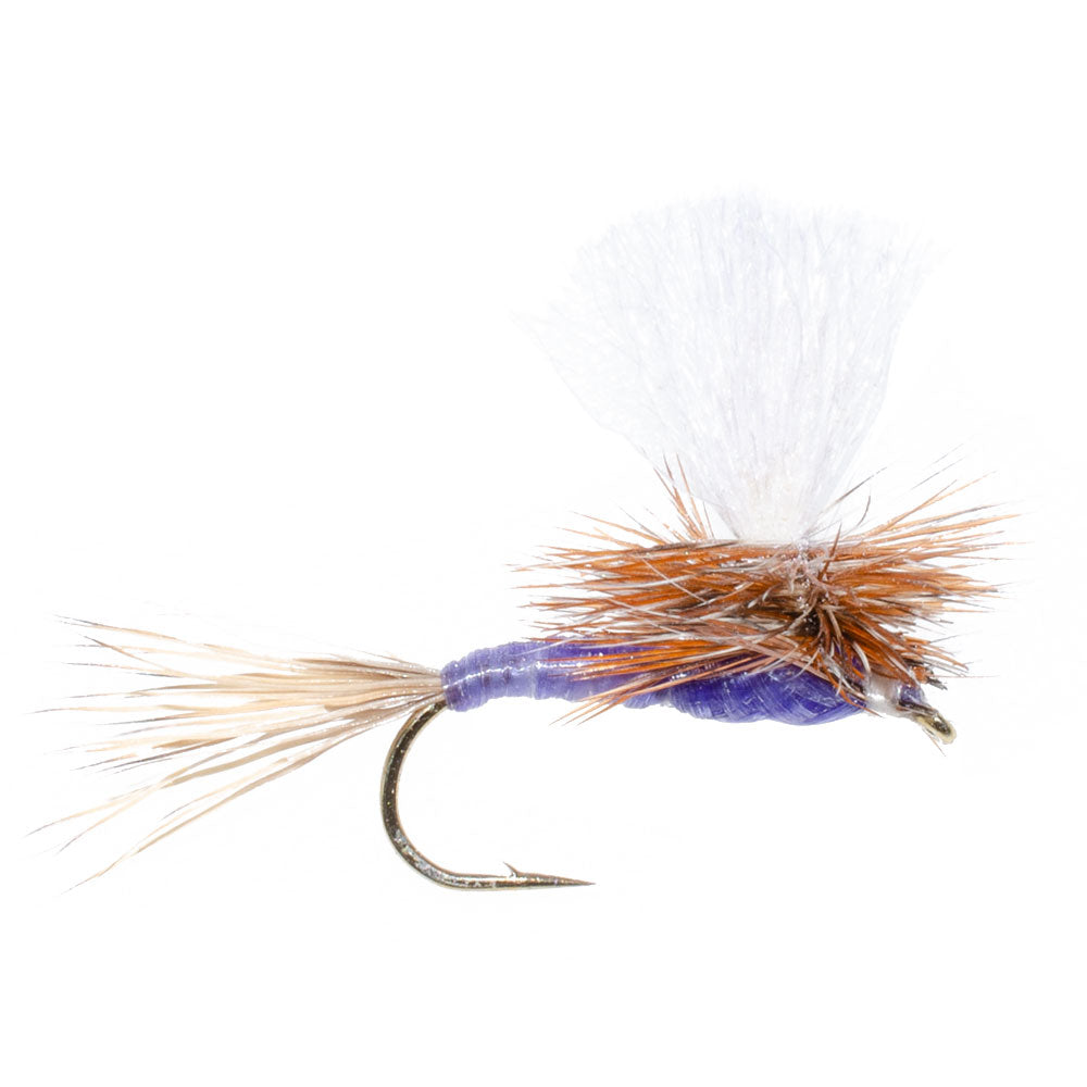 Parachute Purple Haze Dry Fly - 6 Flies Size 18